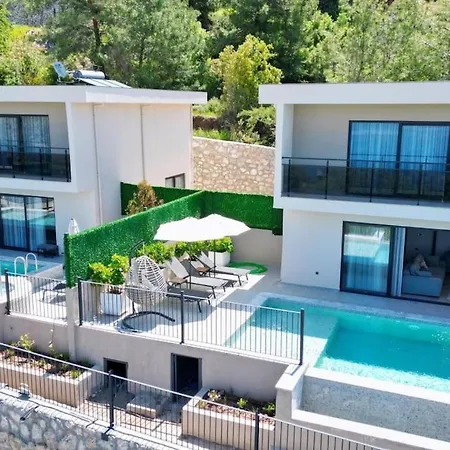 ヴィラ Larrisa フェティエ